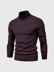 Stylish Turtleneck Sweater for Men