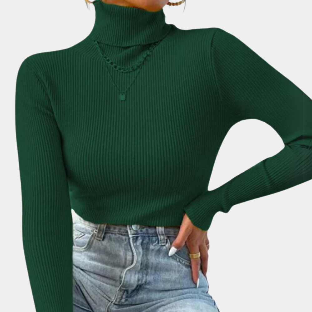 Elegant and Stylish Turtleneck for Women