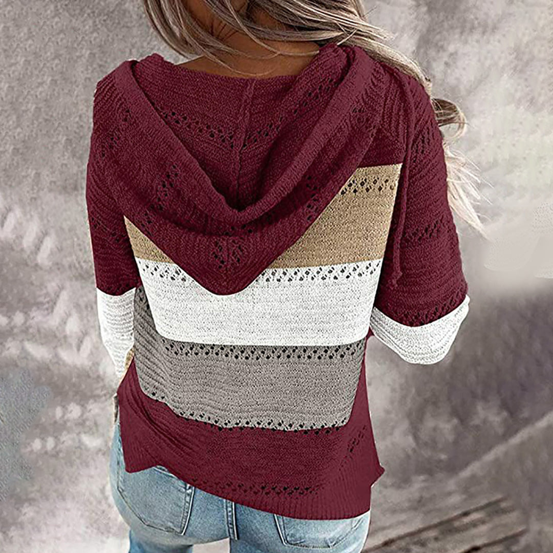 Chic and Stylish V-Neck Sweater with Hood for Women